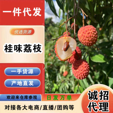 广西桂味荔枝一件代发产地直发一手货源对接各大电商平台