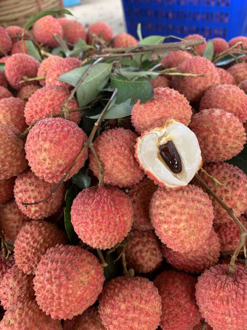广西桂味荔枝一件代发产地直发一手货源对接各大电商平台