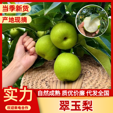 翠玉梨安徽翠玉梨皮薄多汁产地直发供应市场电商