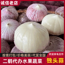 【荐】大蒜，绥中县地区，独头蒜大量供应批发！需要的联系！