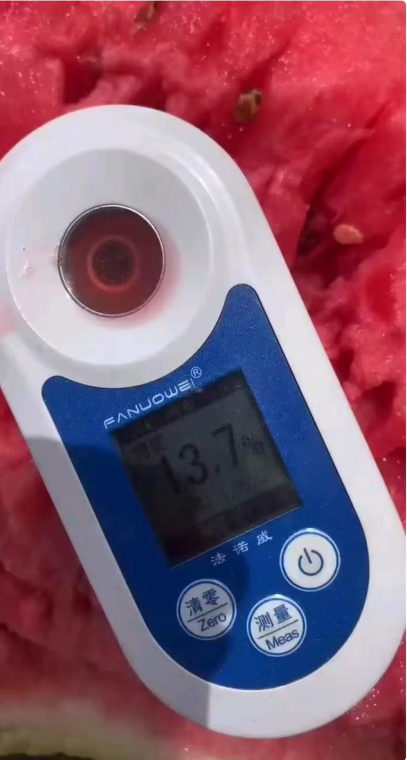 优质硒砂瓜石头西瓜大量上市保质保量欢迎电话咨询