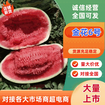 正宗宁夏硒砂瓜石头西瓜个头大皮毛靓糖度高