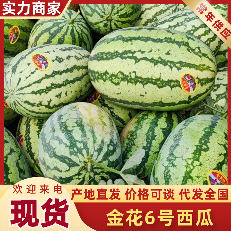 陕西渭南金花6号西瓜渭南西瓜质量好价格低代发全国
