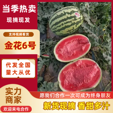 金花6号西瓜陕西渭南西瓜产地直供质量三包量大从优