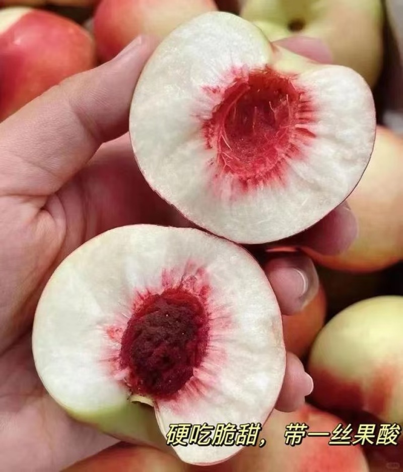 珍珠枣油桃大量上市/颜色漂亮果形好看/产地直发/整车发货