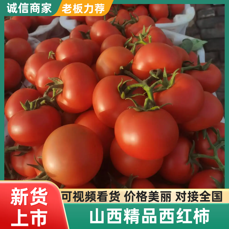 硬果大红西红柿供货量大专业代办，一手货源，欢迎选购