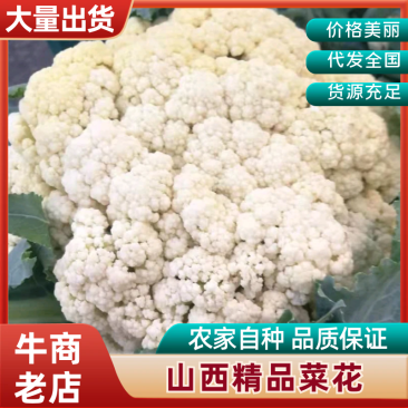 菜花一手货源，产地直销，诚信经营，欢迎采购电话联系