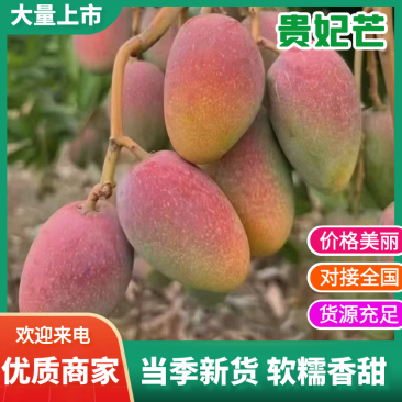 广西百色金煌芒金黄甜心芒百色芒果产地直发保质保量