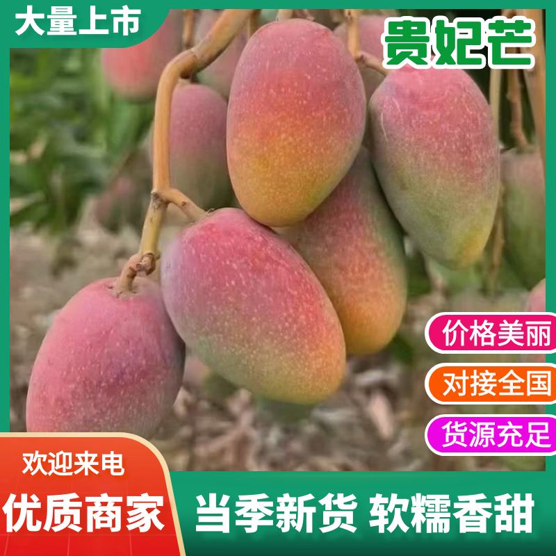 广西百色金煌芒金黄甜心芒百色芒果产地直发保质保量