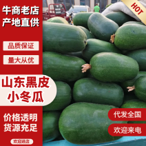 黑皮水果小东瓜大量上市中/山东产地直发/全国供应批发市场