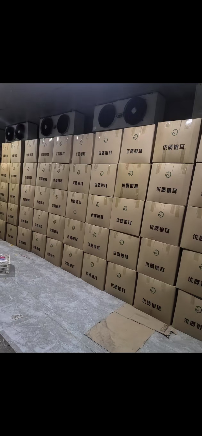 新鲜上市一手货源银耳对接全国市场量大从优欢迎采购热卖中