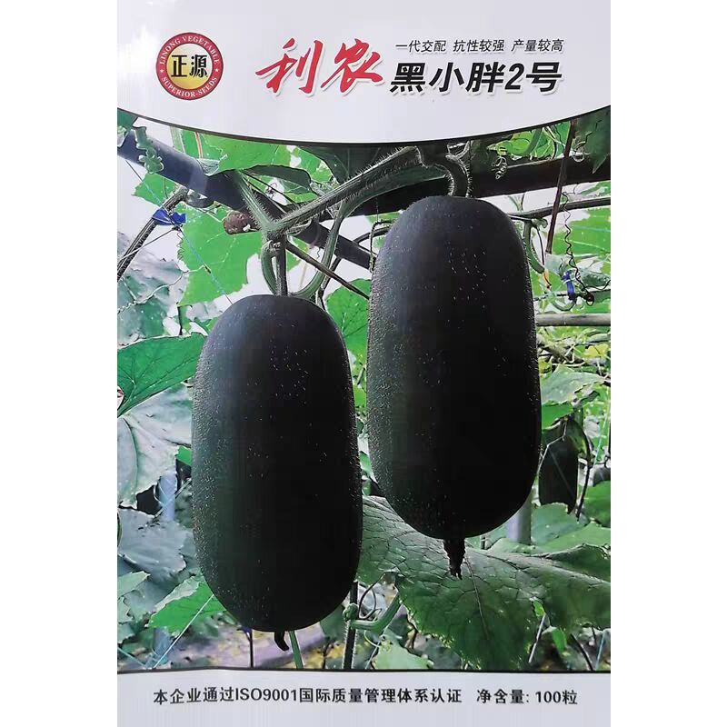 利农黑小胖2号杂交改良黑皮小冬瓜种子早熟墨绿皮迷你小冬瓜