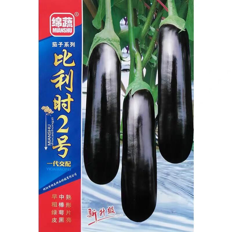 比利时2号绿萼黑茄种子黑油亮粗棒形茄子种籽绿盖绿把黑长茄