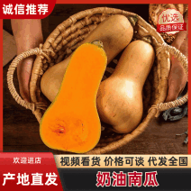 汉中南瓜精选城固奶油南瓜干面糯一手货源对接全国市场档口
