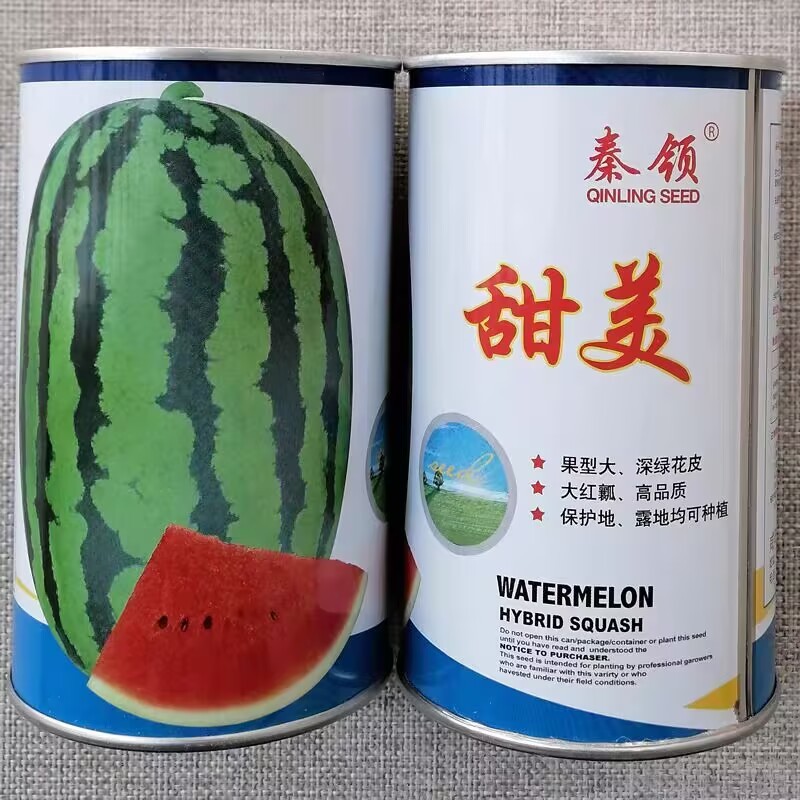 秦领甜美西瓜种子大红瓤杂交翠绿花皮西瓜种籽耐裂高糖大果型