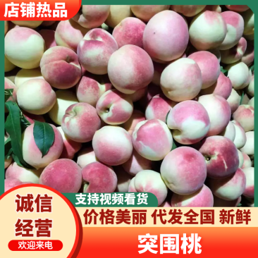 《突围桃》山东桃子/黄桃突围桃-对接全国电商市场耐运输