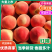 红油桃/蒙阴油桃/山东桃口感好价格优欢迎采购
