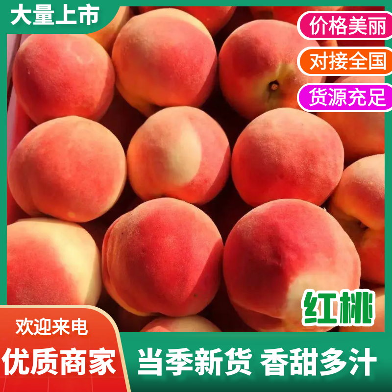 红油桃/蒙阴油桃/山东桃口感好价格优欢迎采购