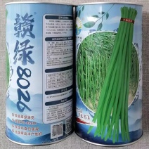 赣绿8026长豆角种子翠绿油亮早中熟耐热豇豆种子顺直美观