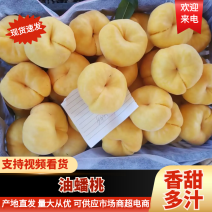 油蟠7号/蒙阴油蟠/山东桃色泽光亮口感好全国发货