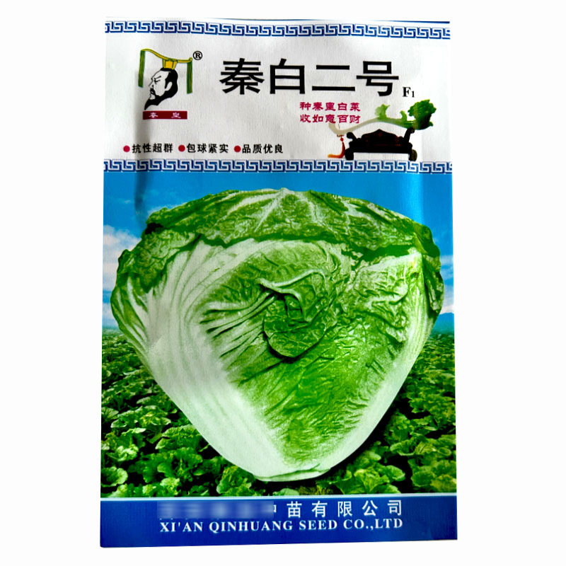 秦白二号白菜种子矮桩包球紧实抗病高产大田基地