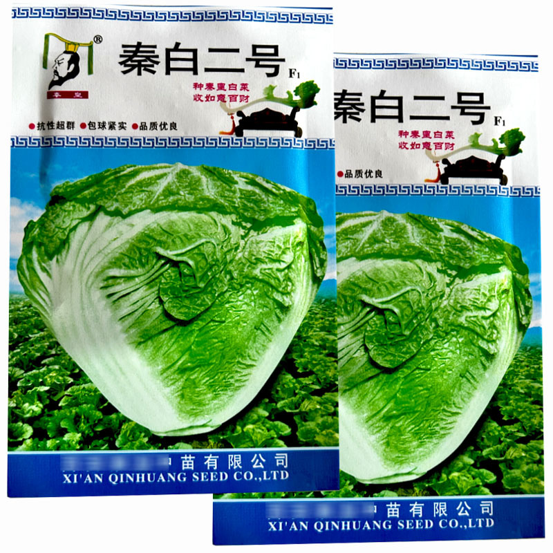秦白二号白菜种子矮桩包球紧实抗病高产大田基地