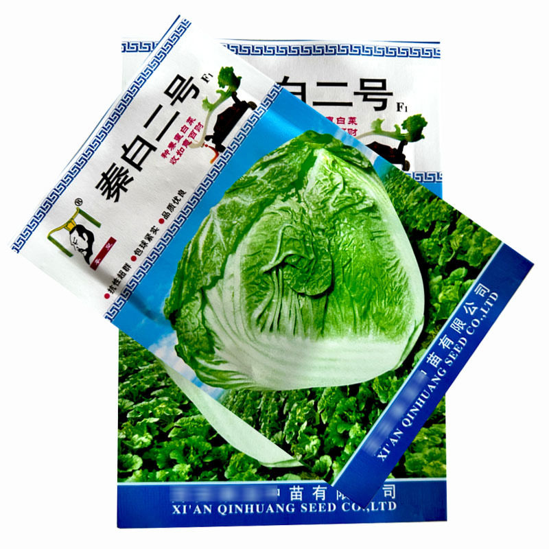 秦白二号白菜种子矮桩包球紧实抗病高产大田基地