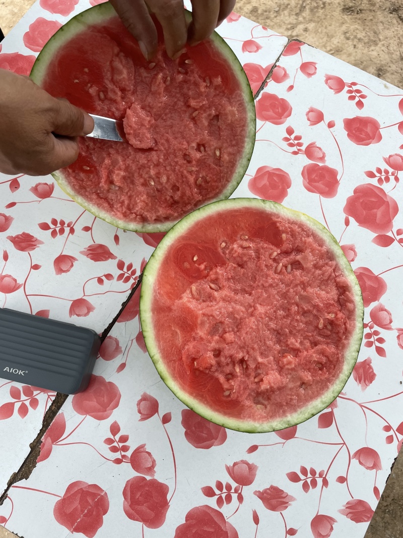 麒麟西瓜品质保证产地直发价格优惠视频看货服务周到