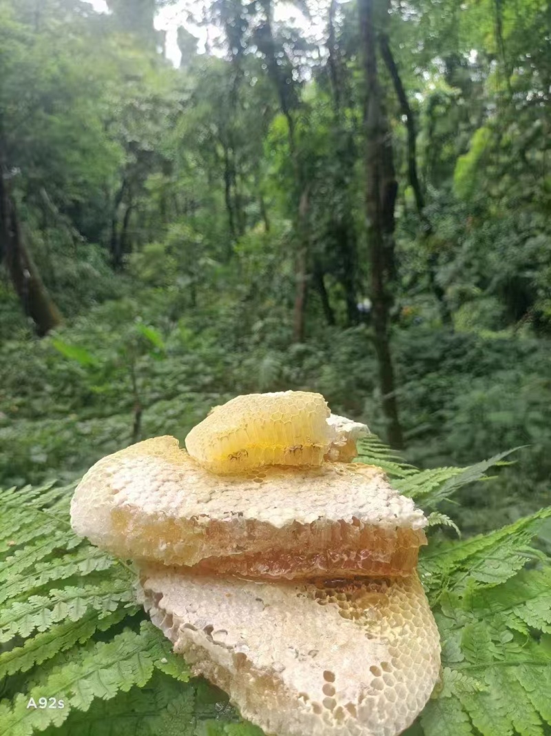 百花香蜂蜜农副食品农家百花蜜云南蜂蜜批发价格实惠欢迎联系