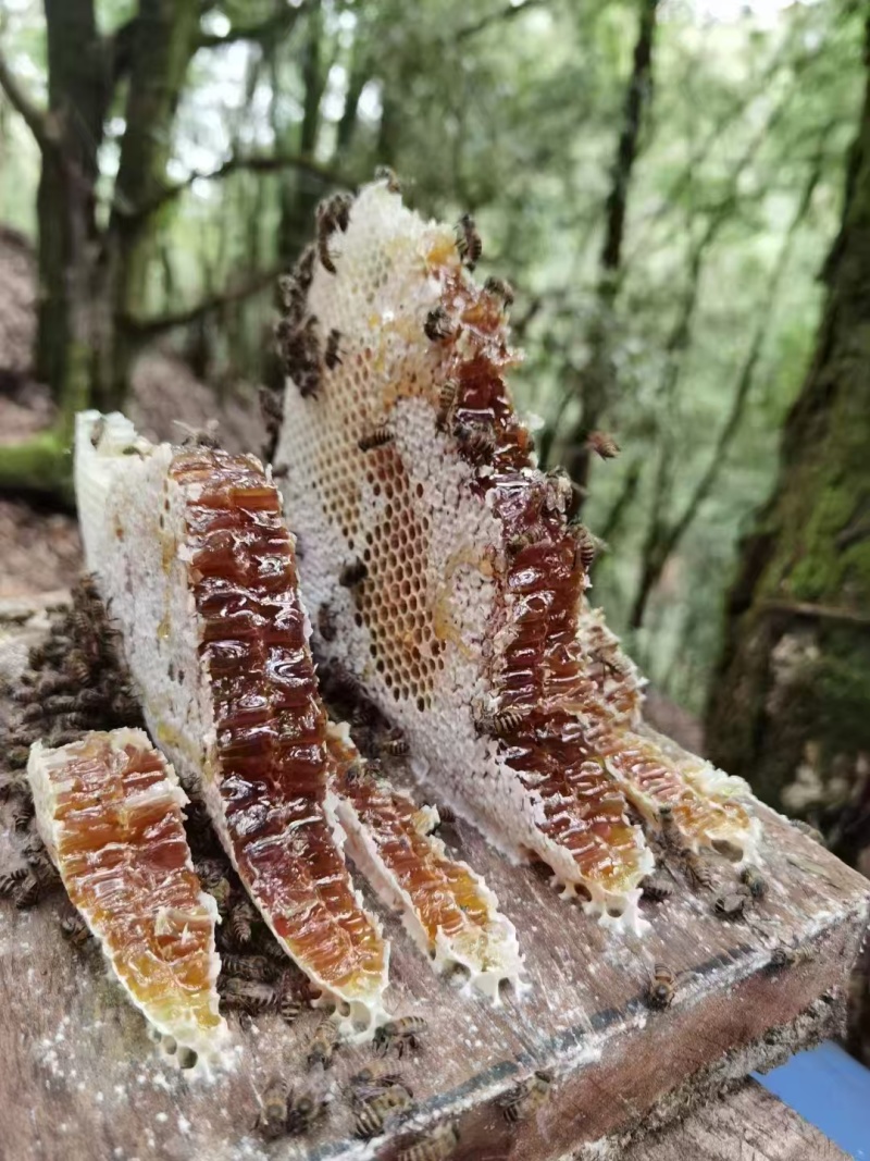 百花香蜂蜜农副食品农家百花蜜云南蜂蜜批发价格实惠欢迎联系
