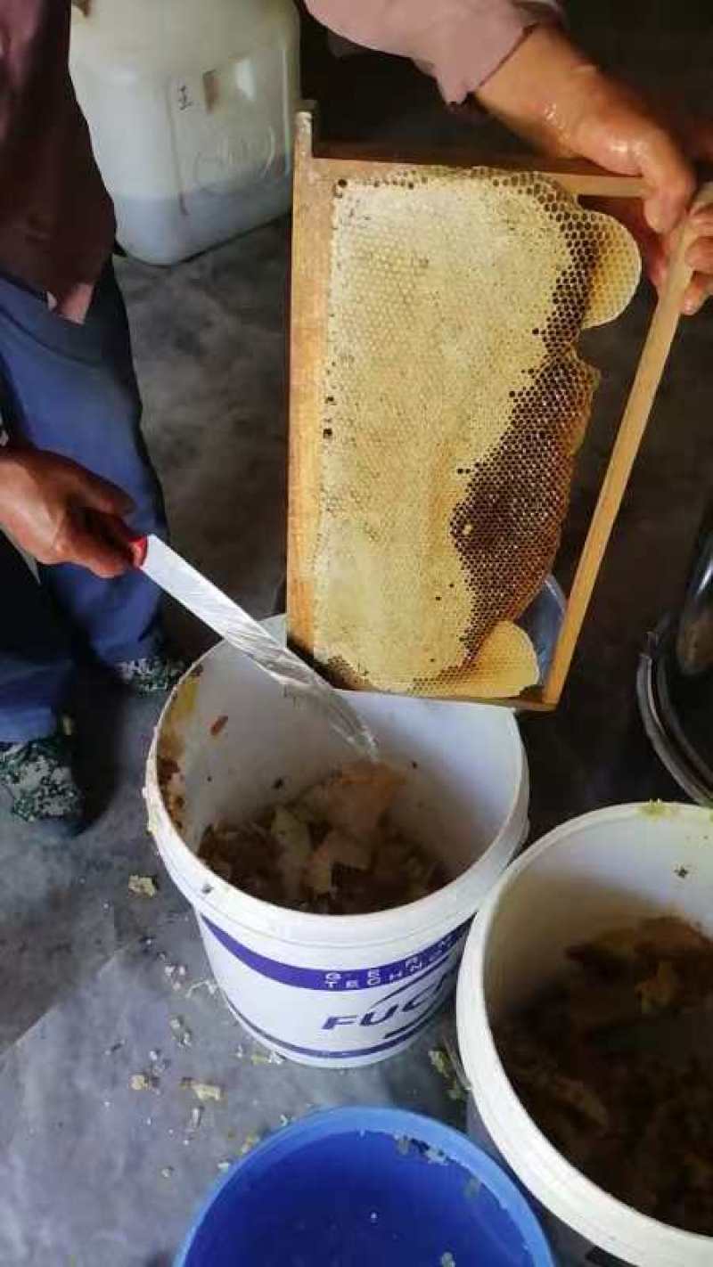 优质土蜂蜜品质保障诚信经营假一赔十量大优惠