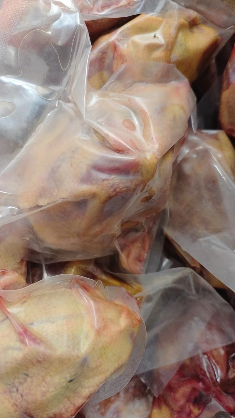乳鸽肉品质保证价格优惠产地直发诚信经营多年视频看货