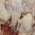乳鸽鸽肉品质保证价格优惠产地直发视频看货