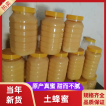 优质土蜂蜜品质保障诚信经营假一赔十量大优惠