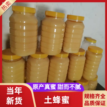 优质土蜂蜜品质保障诚信经营假一赔十量大优惠