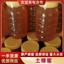 陕西土蜂蜜精品蜂蜜假一赔十诚信经营视频看货