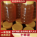 陕西土蜂蜜精品蜂蜜假一赔十诚信经营视频看货