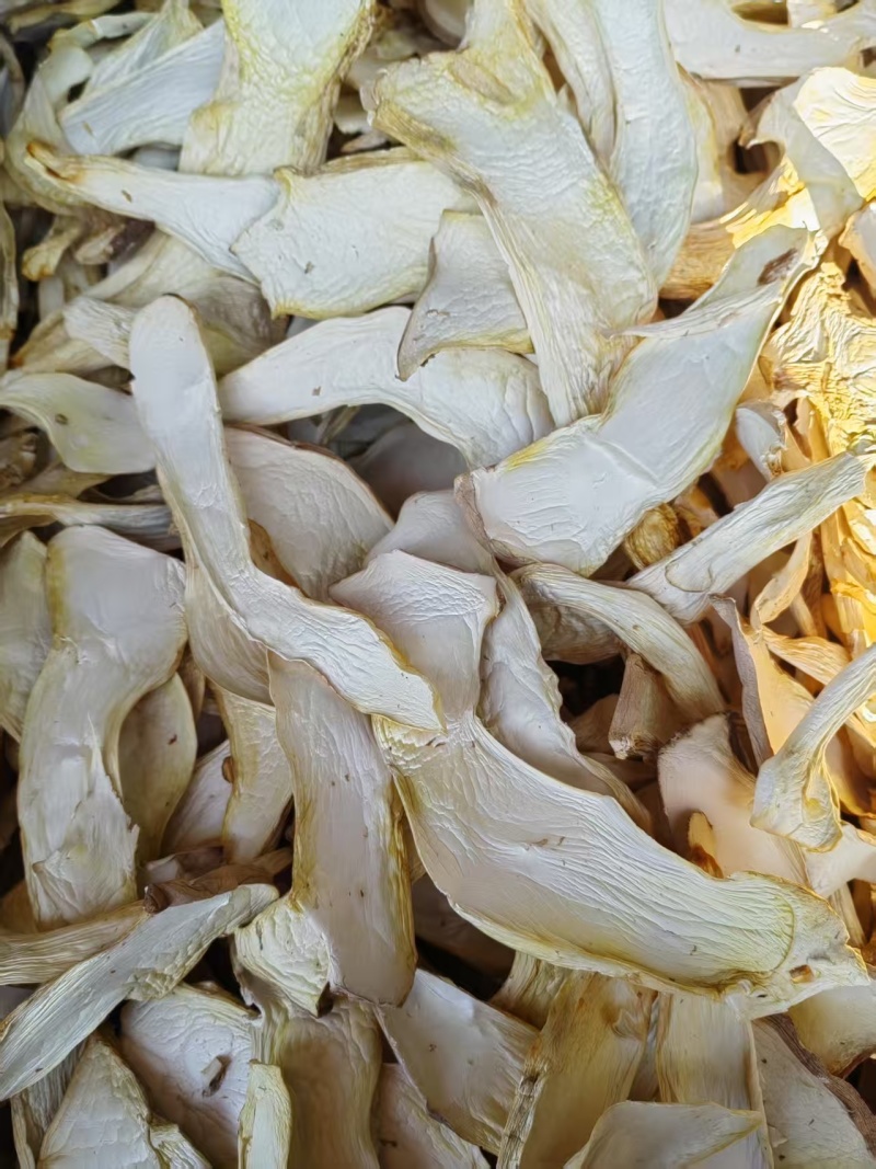 杏鲍菇中B干杏鲍菇质量上乘营养丰富欢迎联系