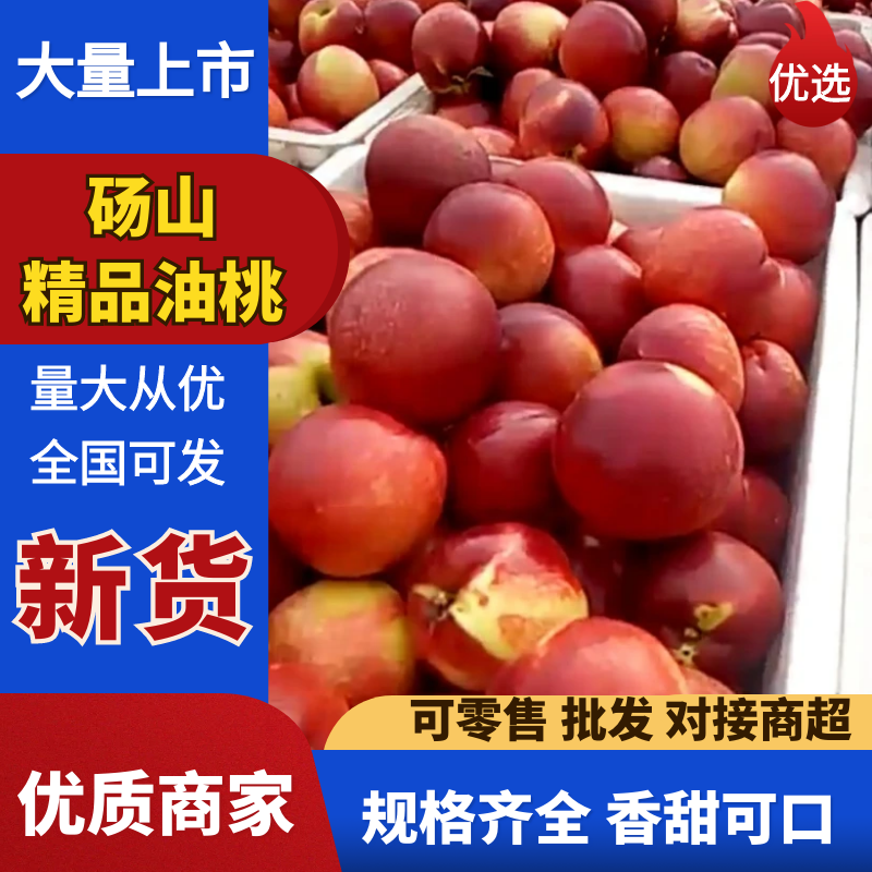 砀山油桃，大量上市，有需要的联系我，精品