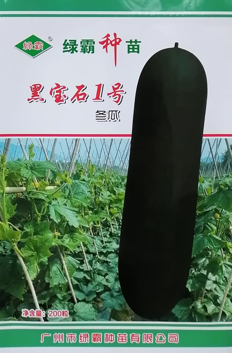 绿霸黑宝石1号冬瓜种子杂交高产黑皮冬瓜种籽肉厚瓜皮墨绿