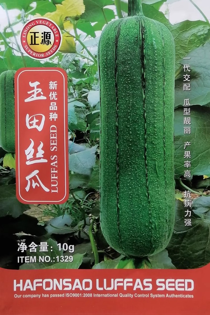 玉田玉丰玉升丝瓜种子高产抗病瓜型靓丽翠绿皮早熟杂交肉丝瓜