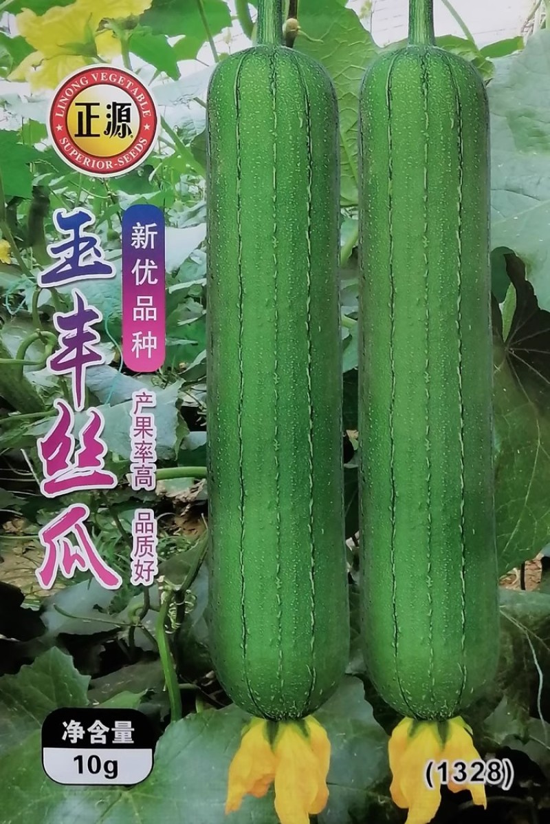 玉田玉丰玉升丝瓜种子高产抗病瓜型靓丽翠绿皮早熟杂交肉丝瓜