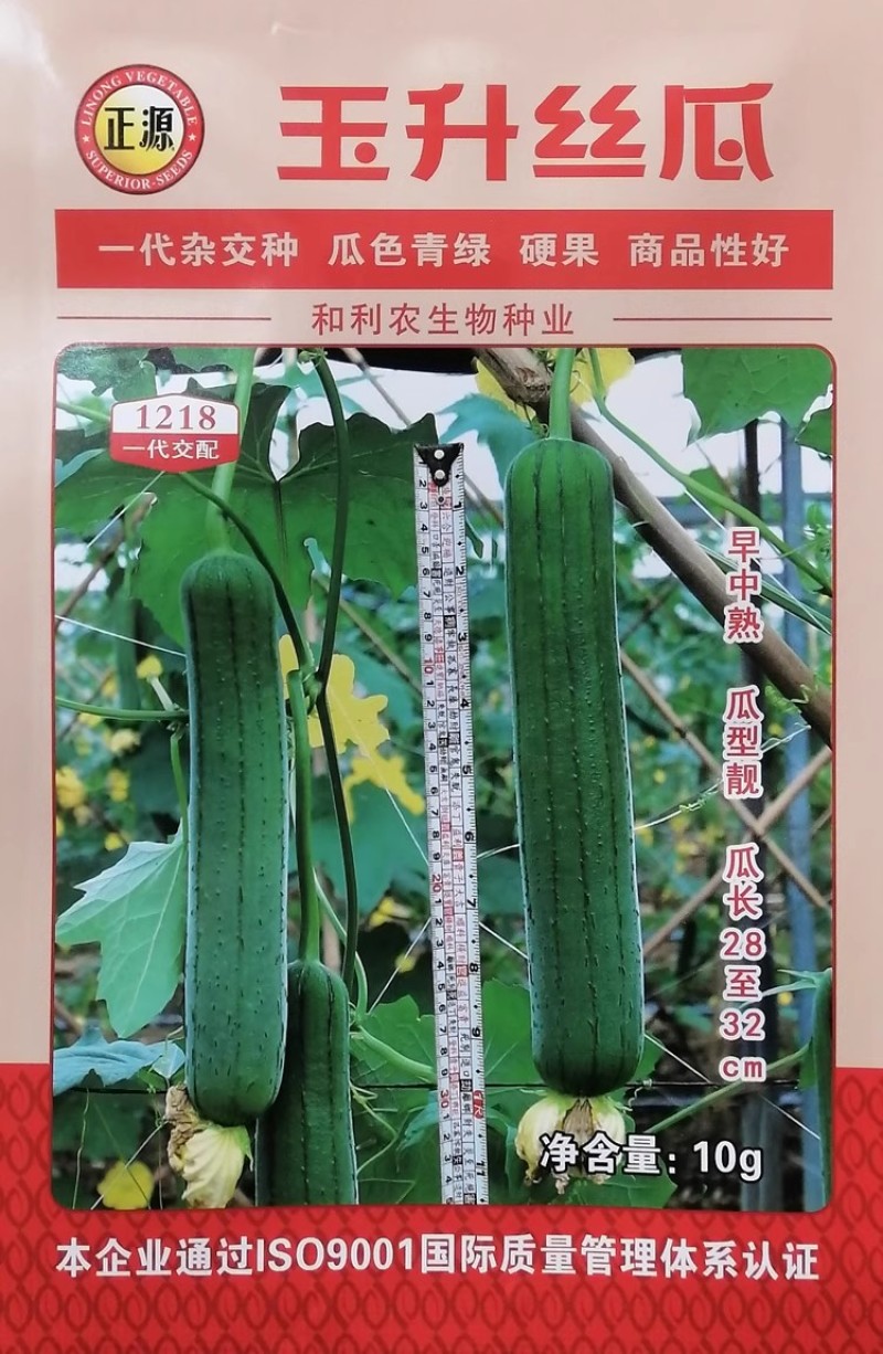 玉田玉丰玉升丝瓜种子高产抗病瓜型靓丽翠绿皮早熟杂交肉丝瓜