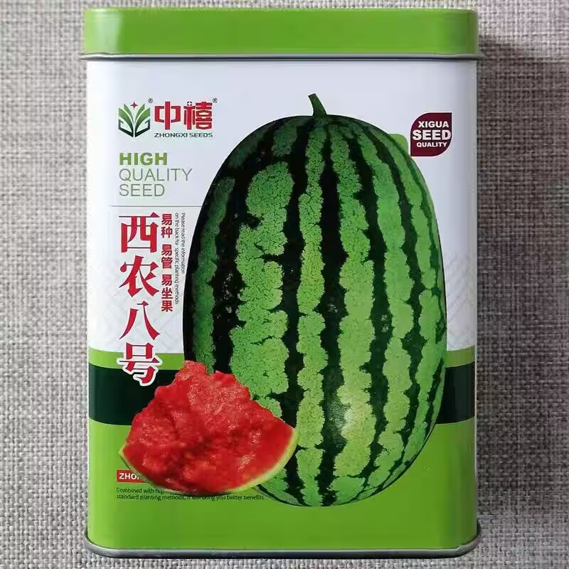 中禧西农八号西瓜种子中晚熟红瓤西瓜种籽易坐果甜美多汁