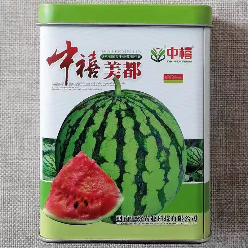中禧美都西瓜种子杂交中早熟西瓜种籽皮薄瓤红肉质酥脆高甜