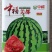 中禧美都西瓜种子杂交中早熟西瓜种籽皮薄瓤红肉质酥脆高甜