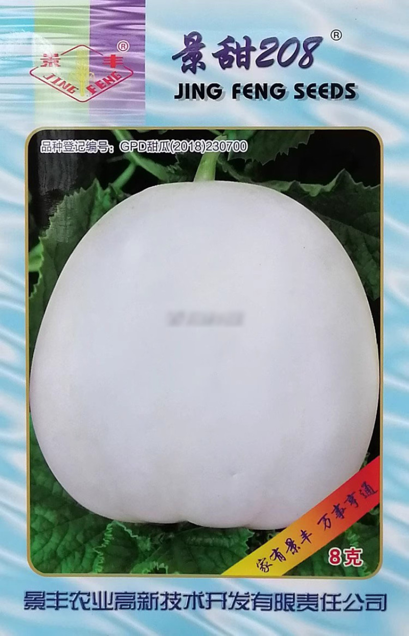 景甜208薄皮白甜瓜种子大棚露地小白瓜白沙蜜种籽脆甜清香