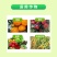 1.8复硝酚钠生长调节剂水剂生根壮苗调节生长增产膨大剂