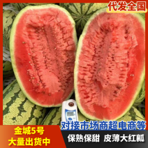 宁夏精品金城五号西瓜包熟包甜金花西瓜个头大品质好发市场