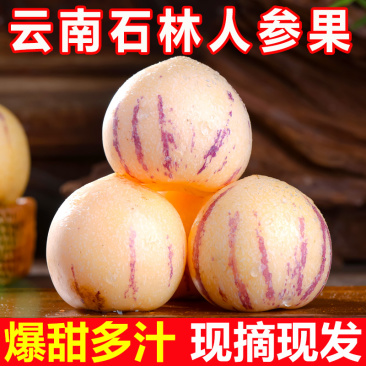 云南石林人参果当季新鲜孕妇爆甜水果一件代发